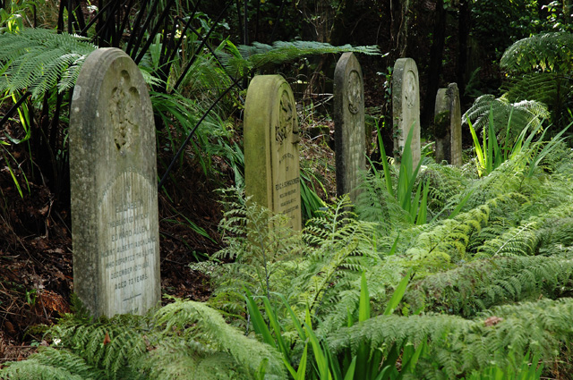 Symond Street Cemeteries without Gabba and the Giblets
