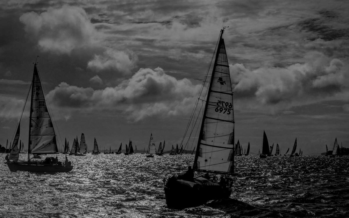 Dozens and dozens of yachts on Auckland harbour