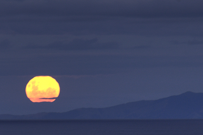The moon rising above Roangitoto island 