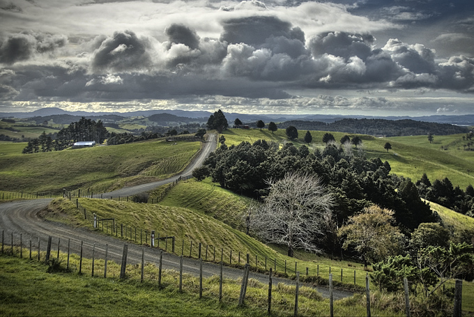 A gravel road heading off into the distance surrounded by NZ farmland with patches of Northland bush