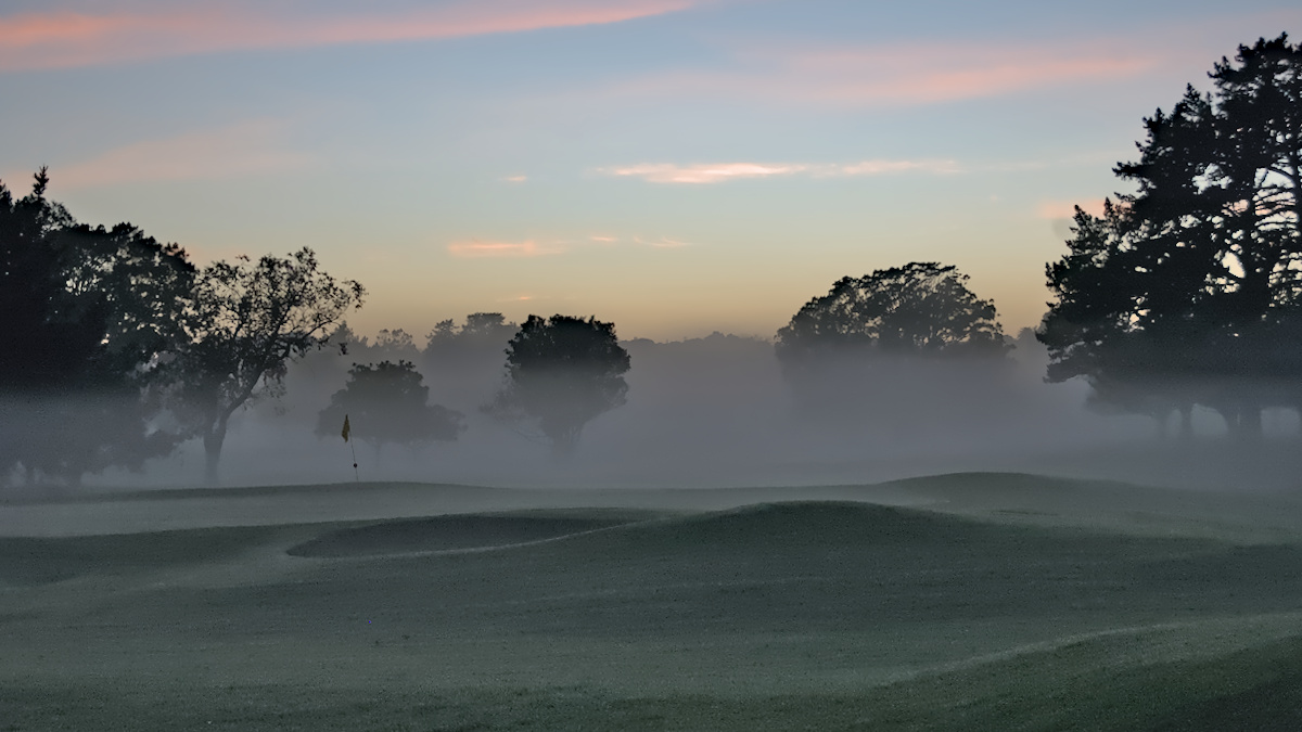 Trees surrounding a golf green all in mist